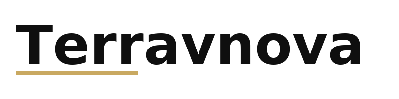 Terravnova logo